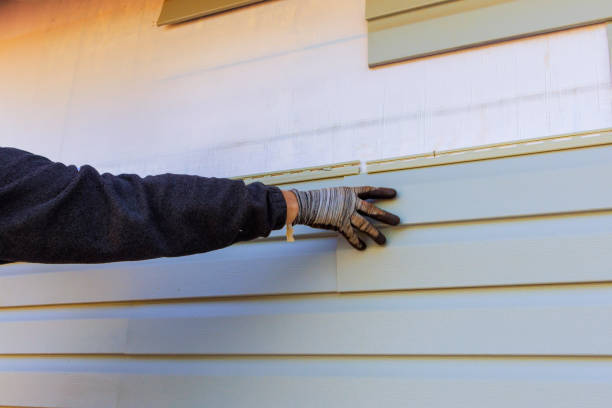 Best Stucco Siding  in Choteau, MT